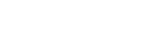 Ativo 29